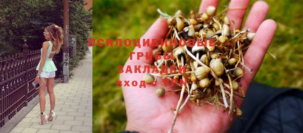 дурь Абаза